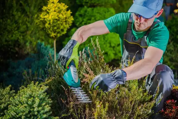 landscaping services Perrysburg